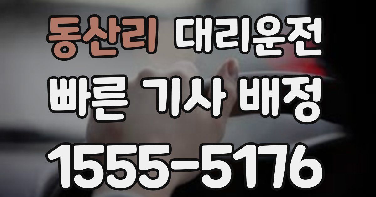 일일대리기사