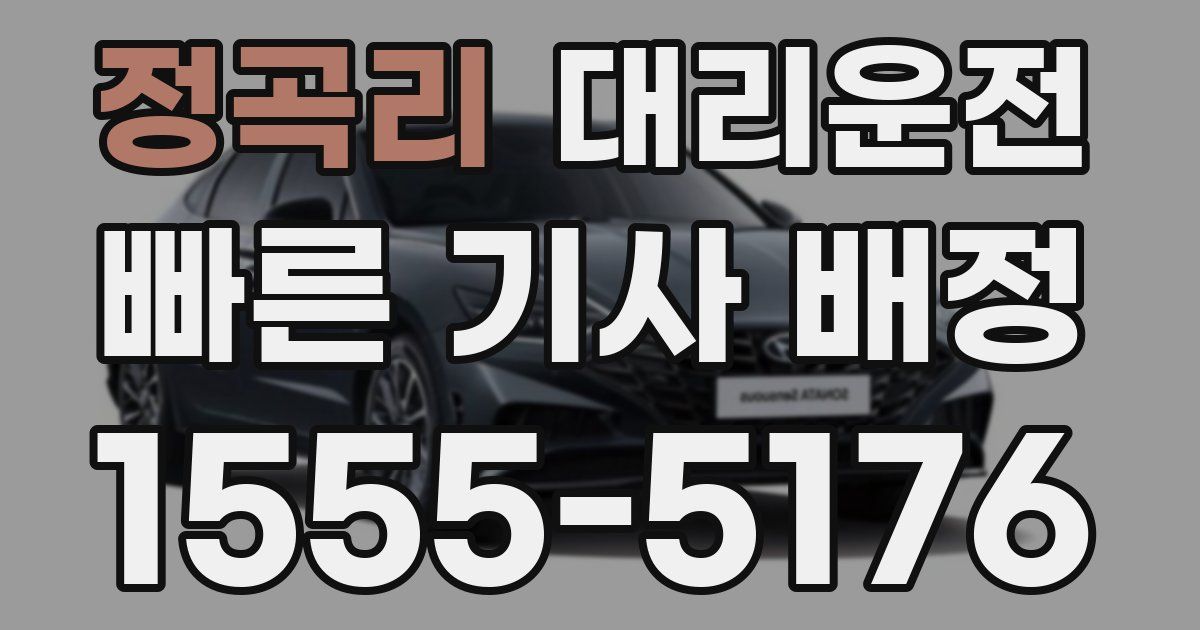 일일대리기사
