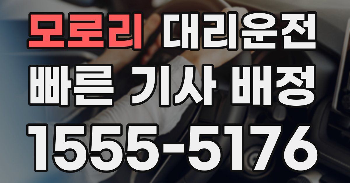 일일대리기사