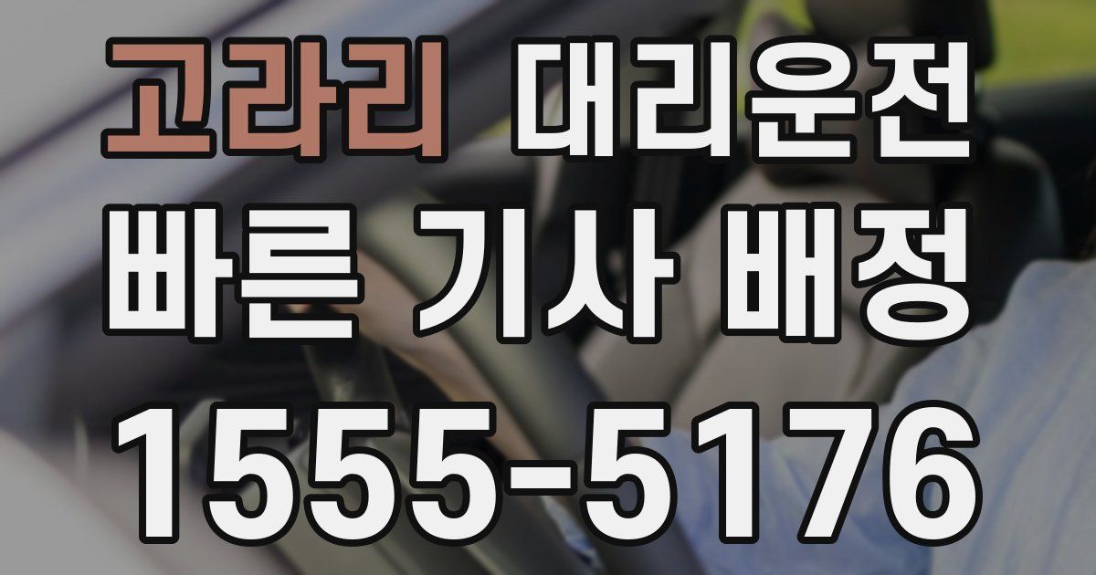 일일대리기사