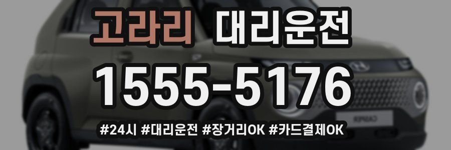 고라리 대리운전