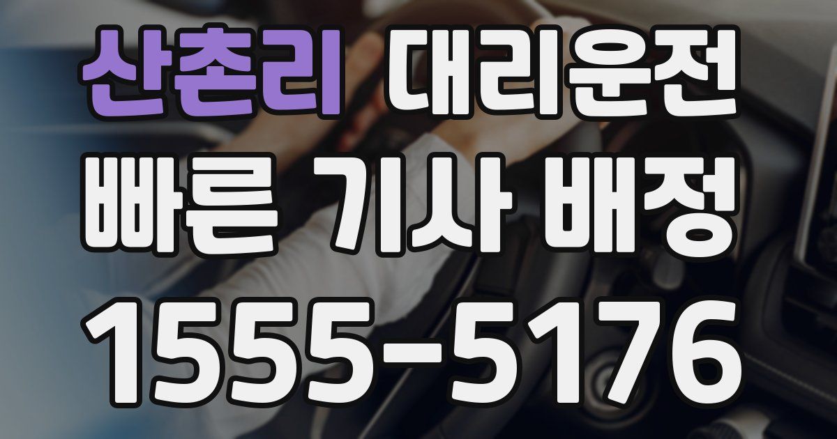 일일대리기사