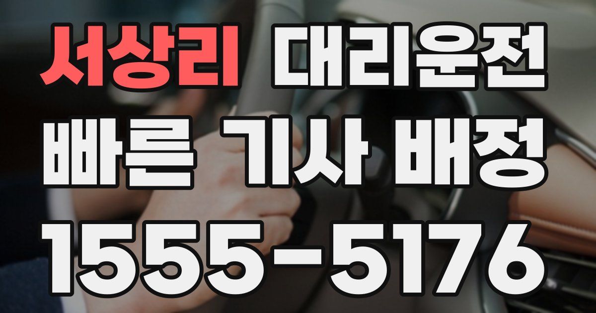 일일대리기사