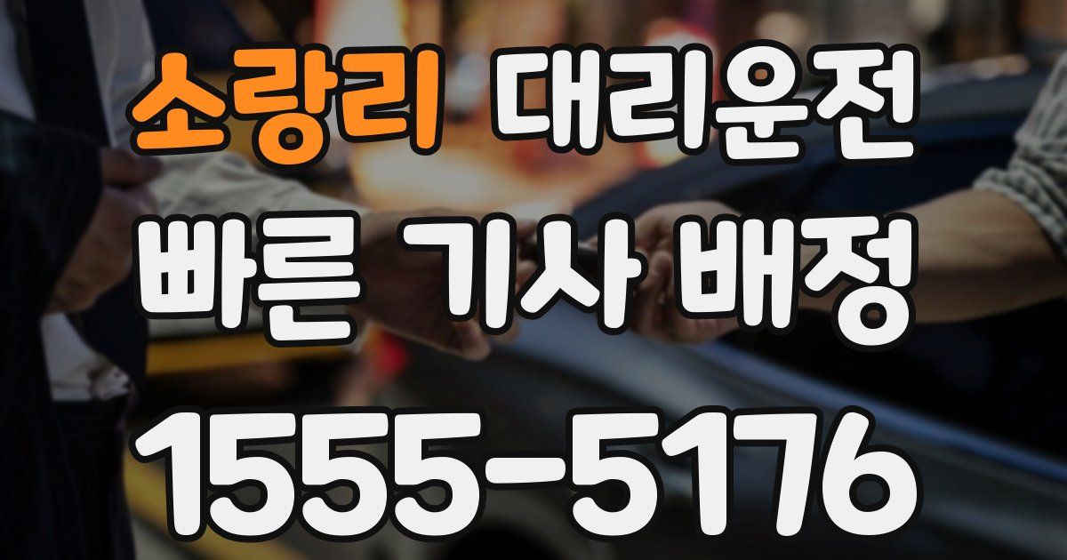 일일대리기사