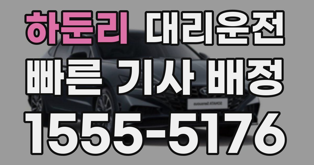일일대리기사