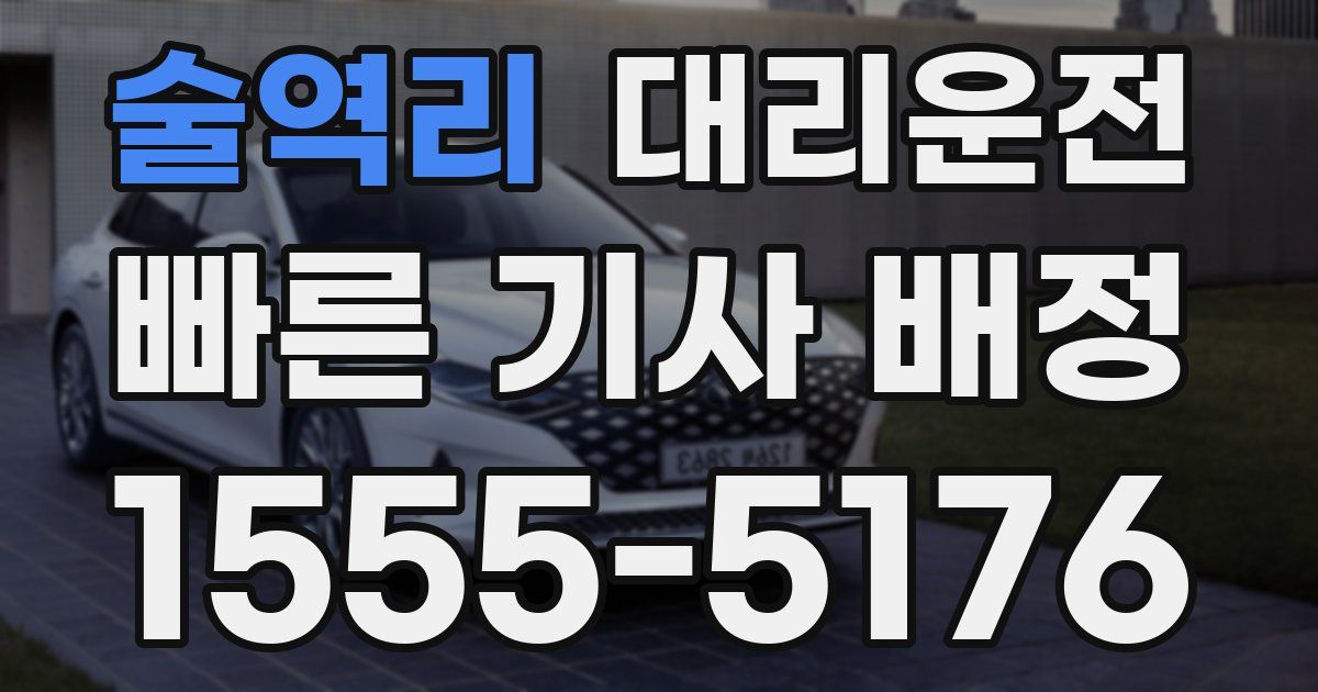 일일대리기사