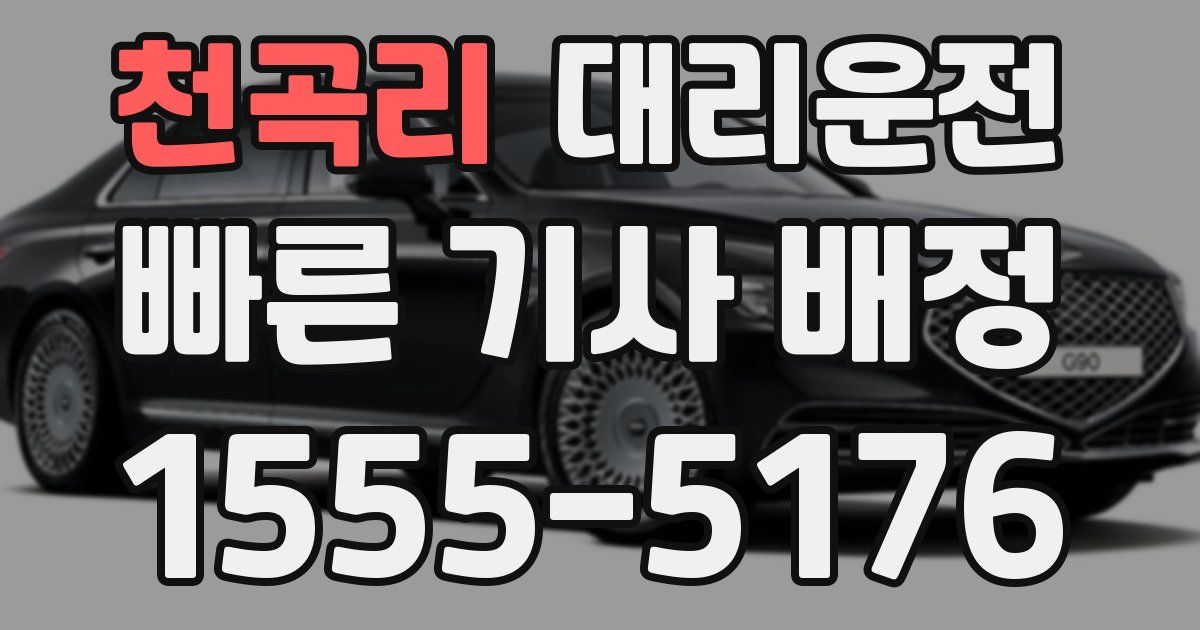일일대리기사