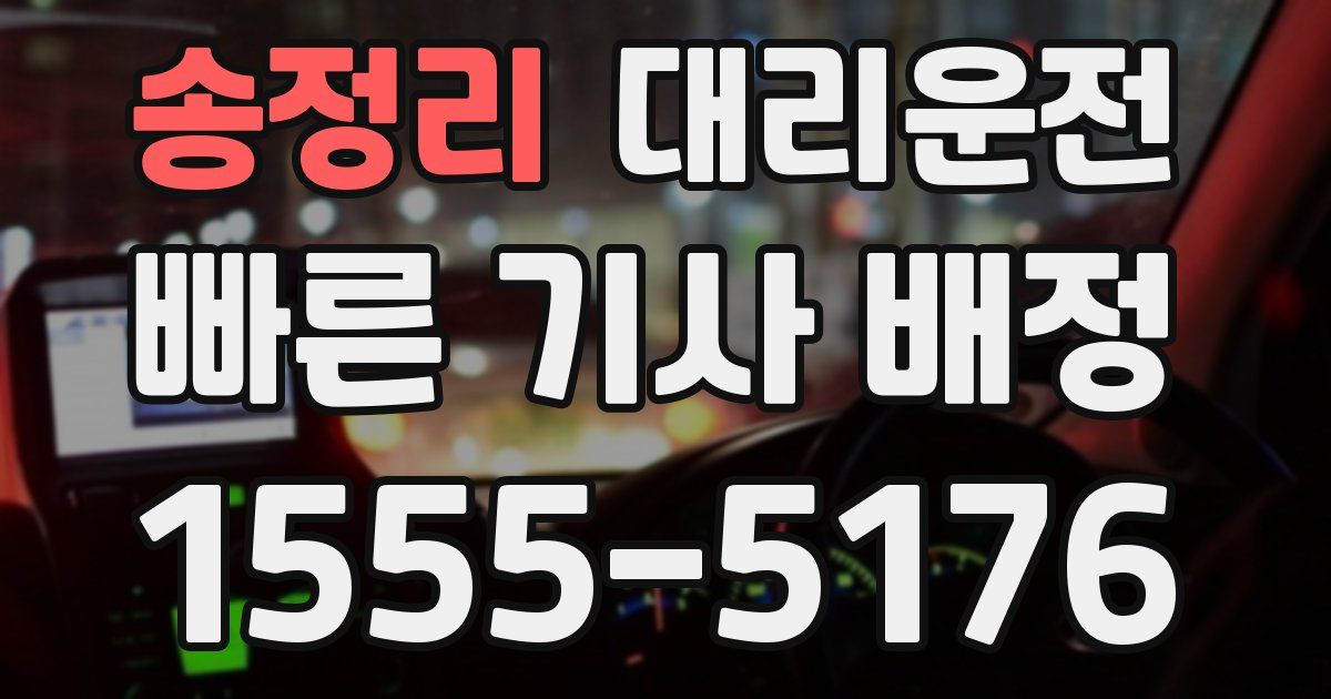 일일대리기사