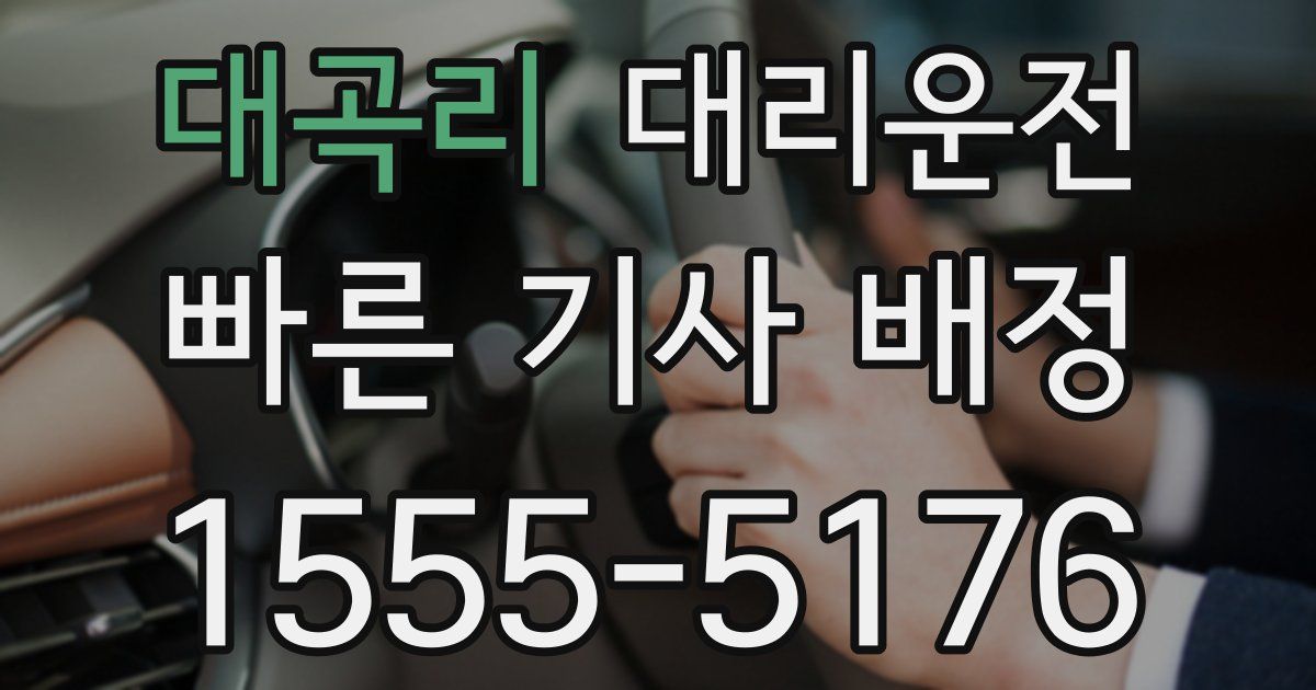 일일대리기사