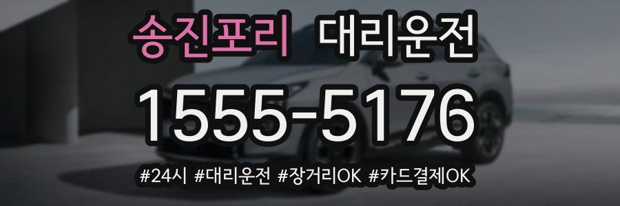 송진포리 대리운전