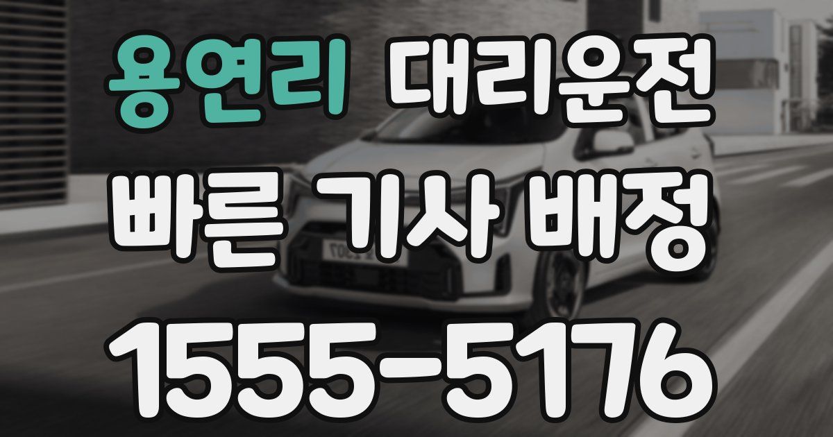 일일대리기사