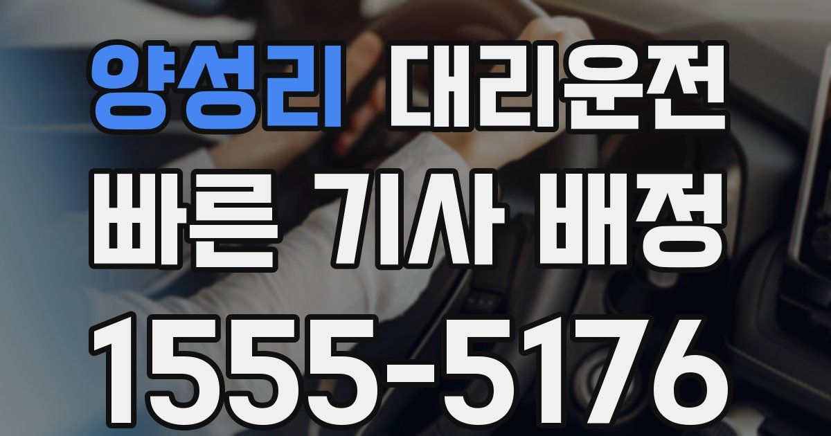 일일대리기사