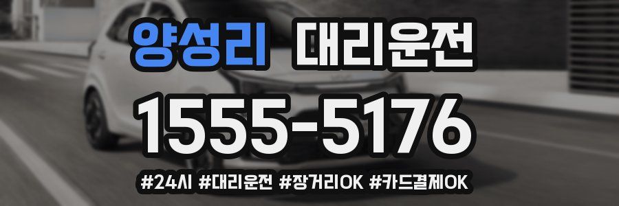 양성리 대리운전