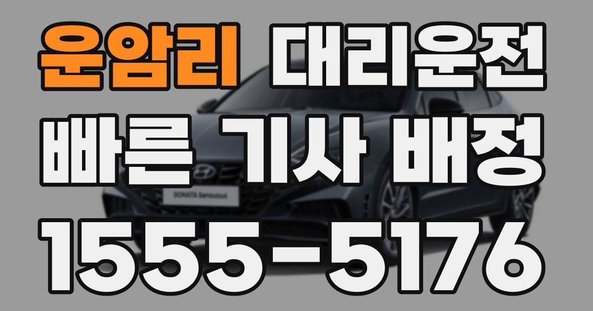 일일대리기사