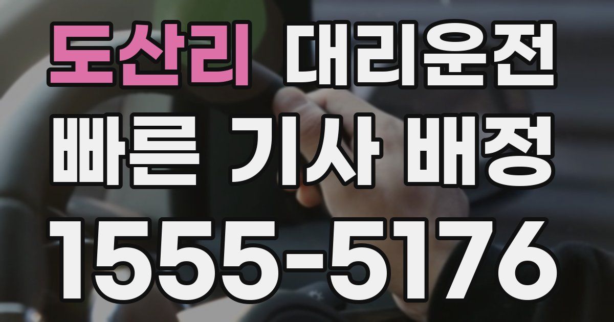 일일대리기사