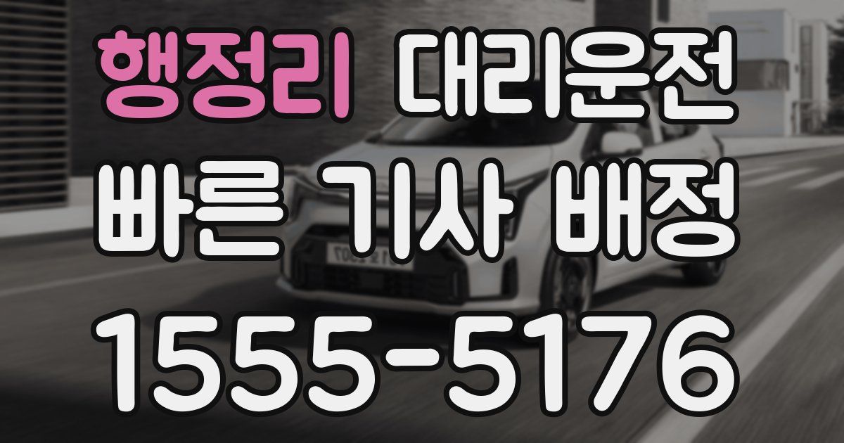 일일대리기사