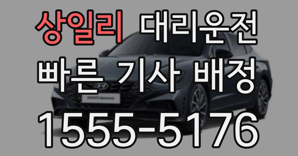 일일대리기사