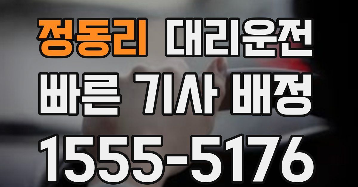 일일대리기사