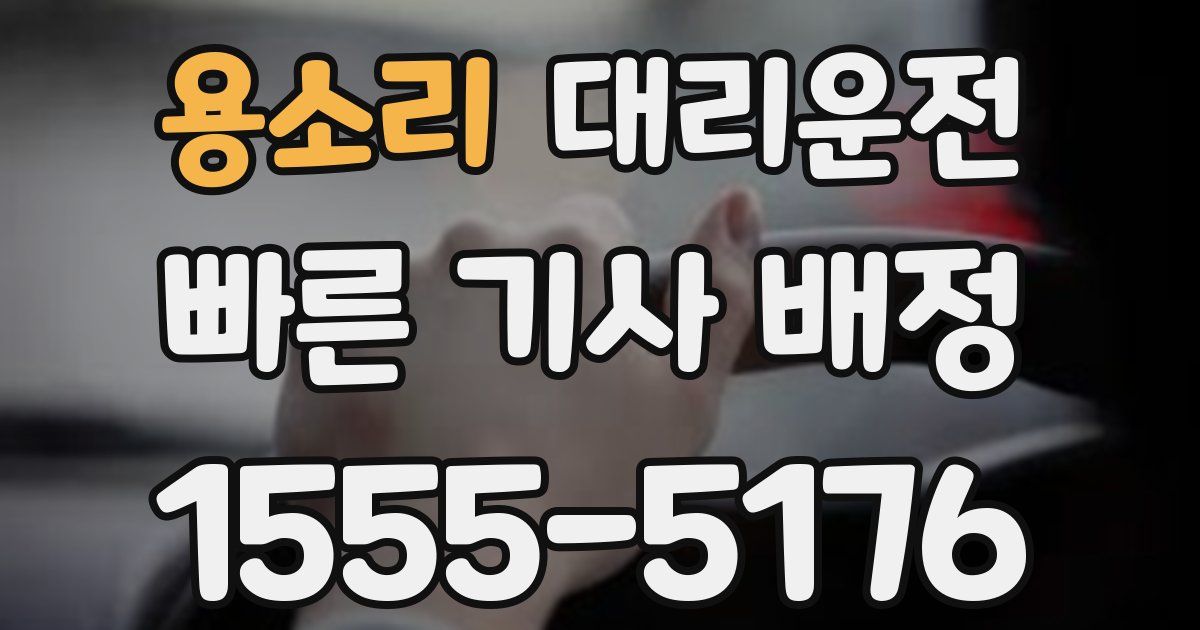 일일대리기사