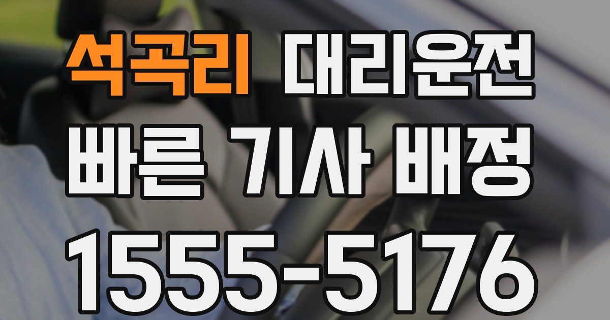 일일대리기사