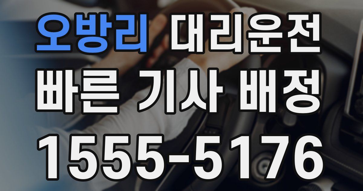 일일대리기사