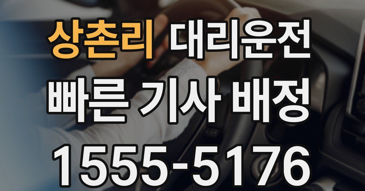 일일대리기사