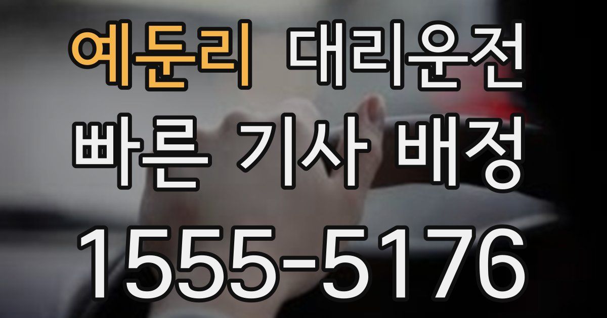 일일대리기사