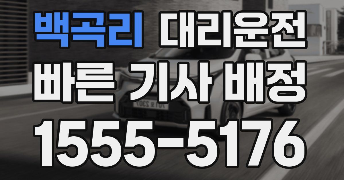 일일대리기사