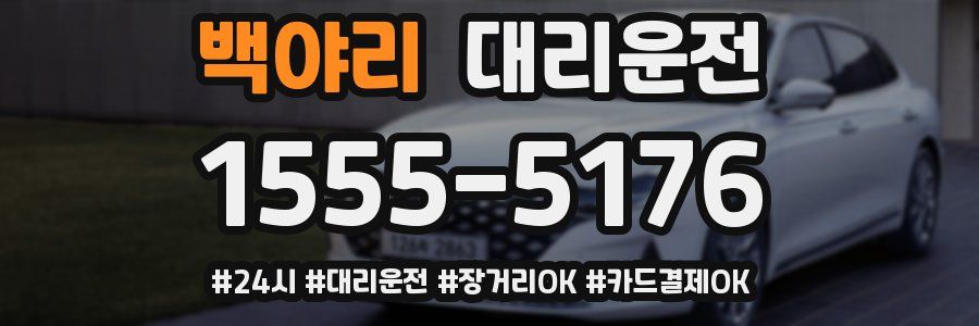 백야리 대리운전