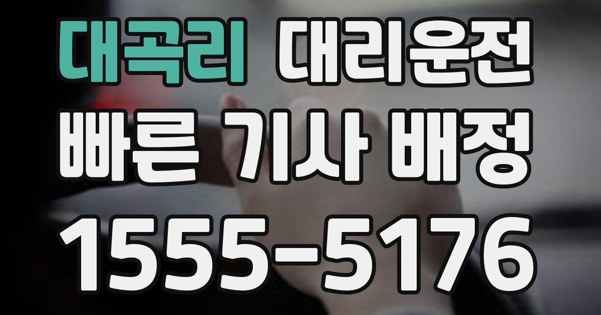 일일대리기사