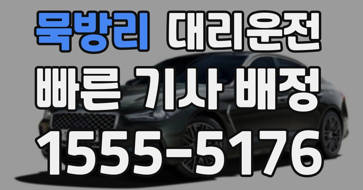 일일대리기사