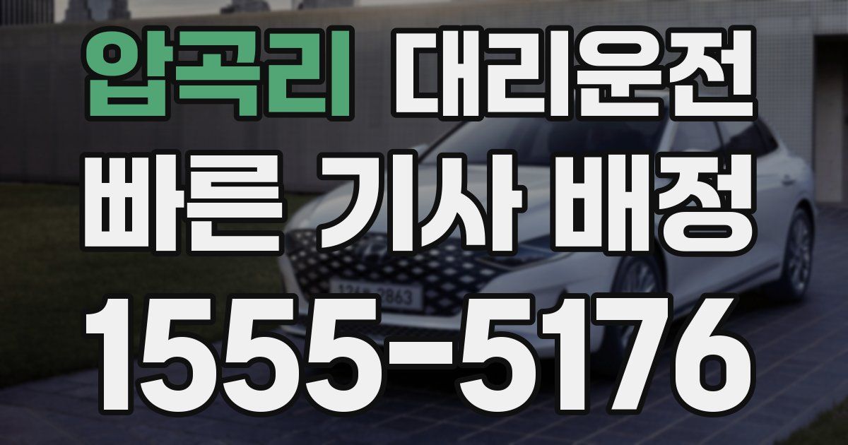 일일대리기사