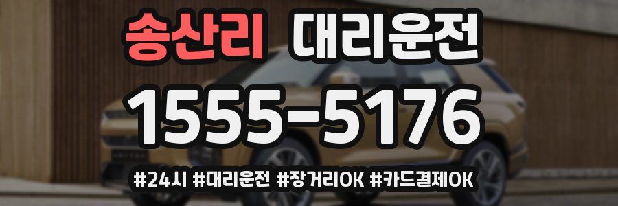 송산리 대리운전