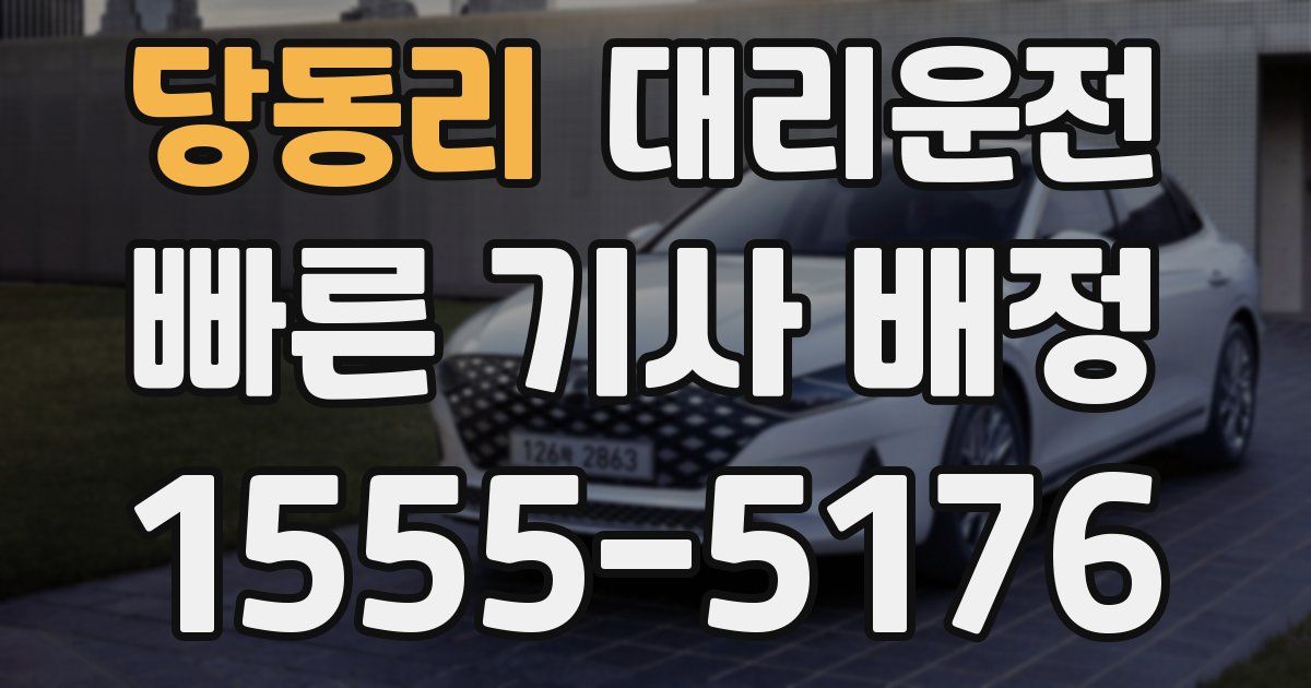 일일대리기사
