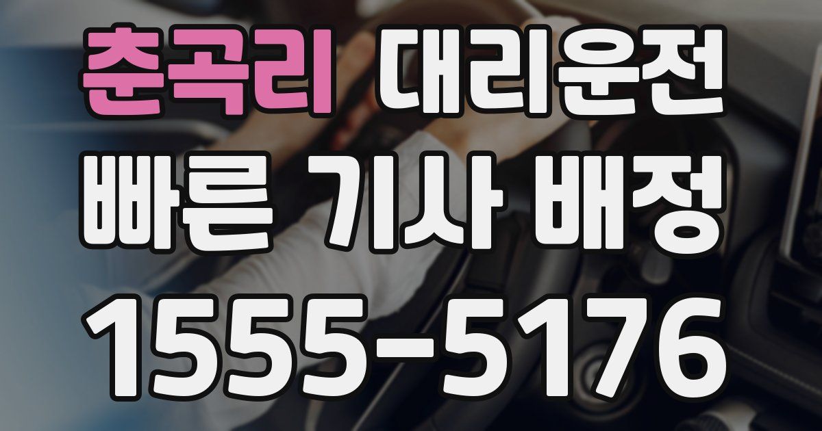 일일대리기사