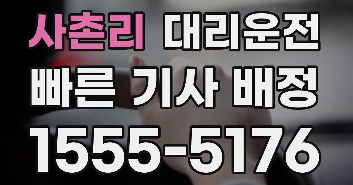 일일대리기사