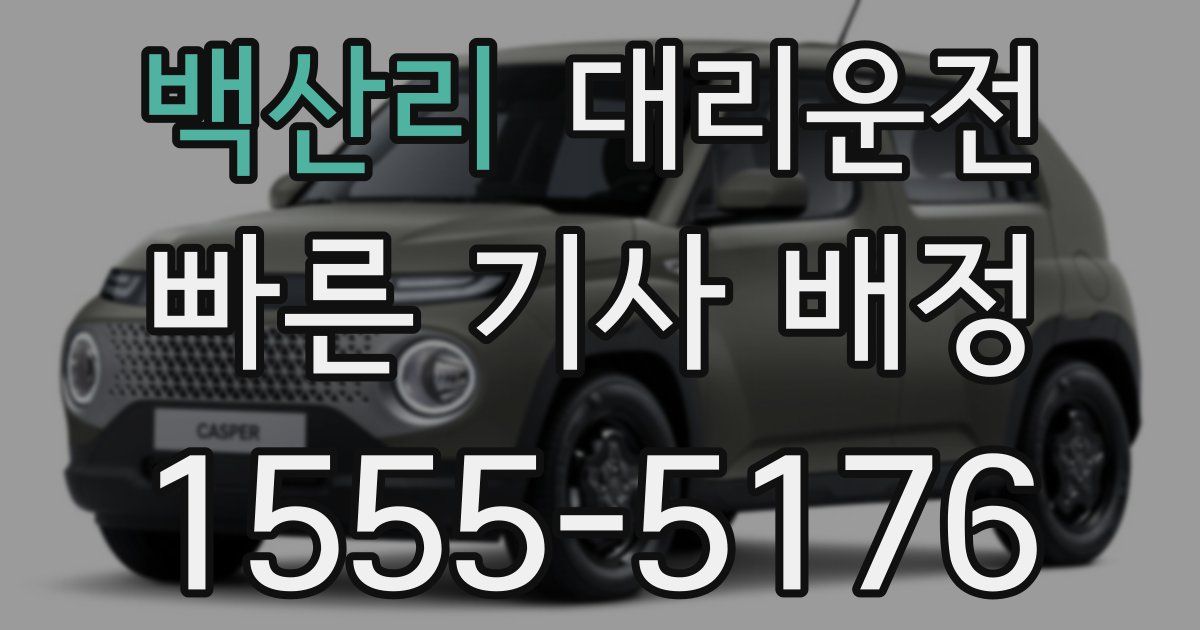 일일대리기사