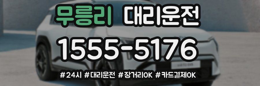 무릉리 대리운전