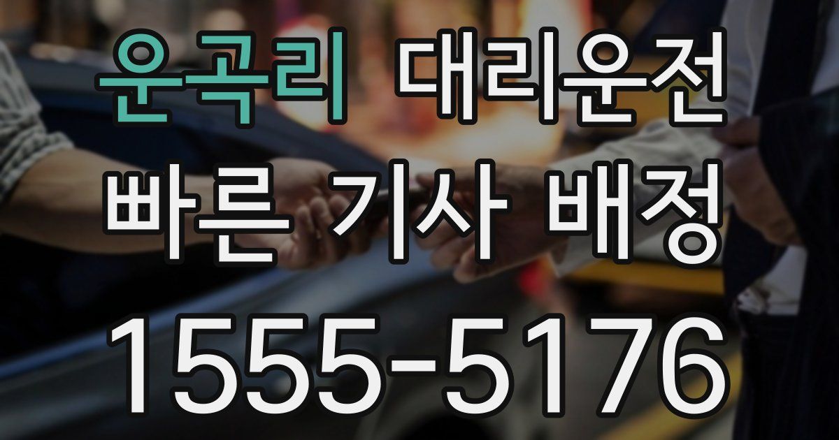 일일대리기사