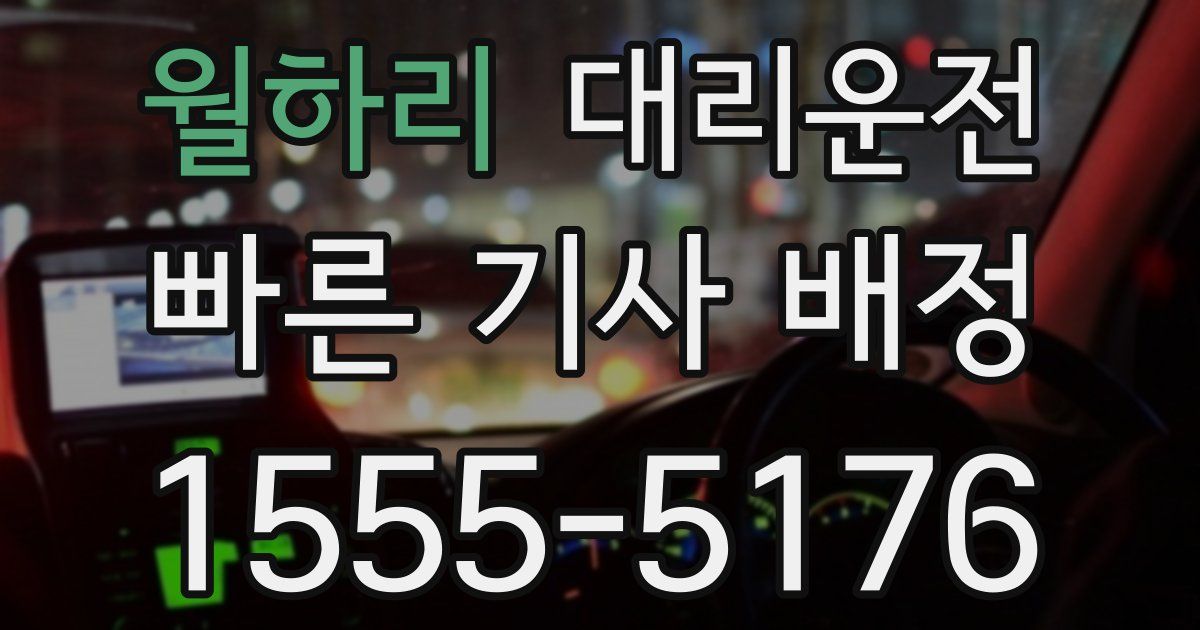 일일대리기사