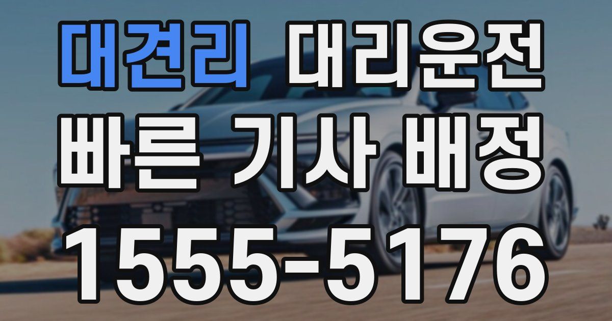 일일대리기사