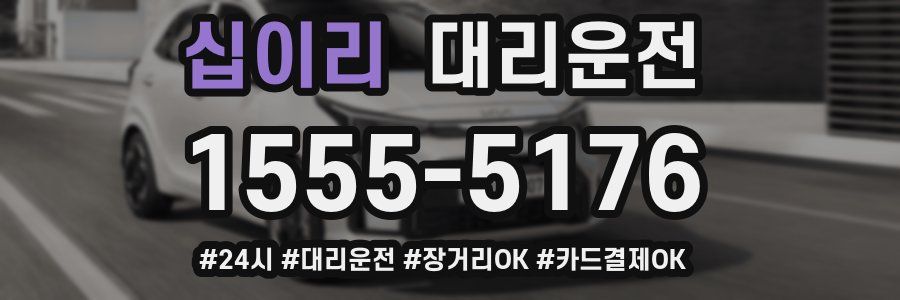 십이리 대리운전