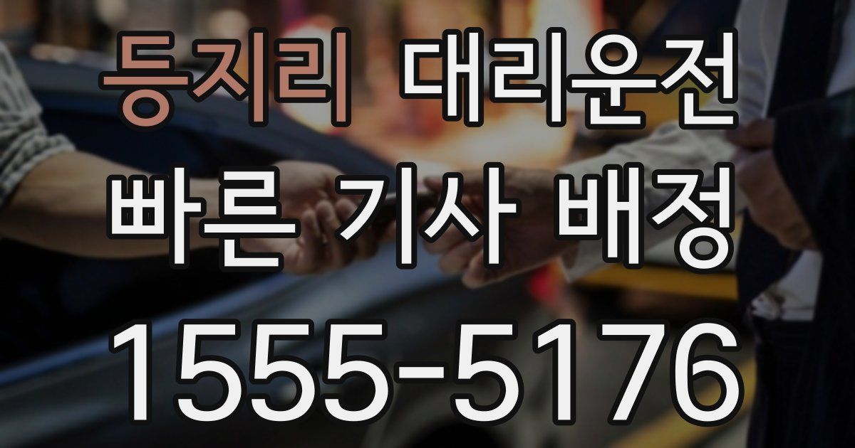 일일대리기사