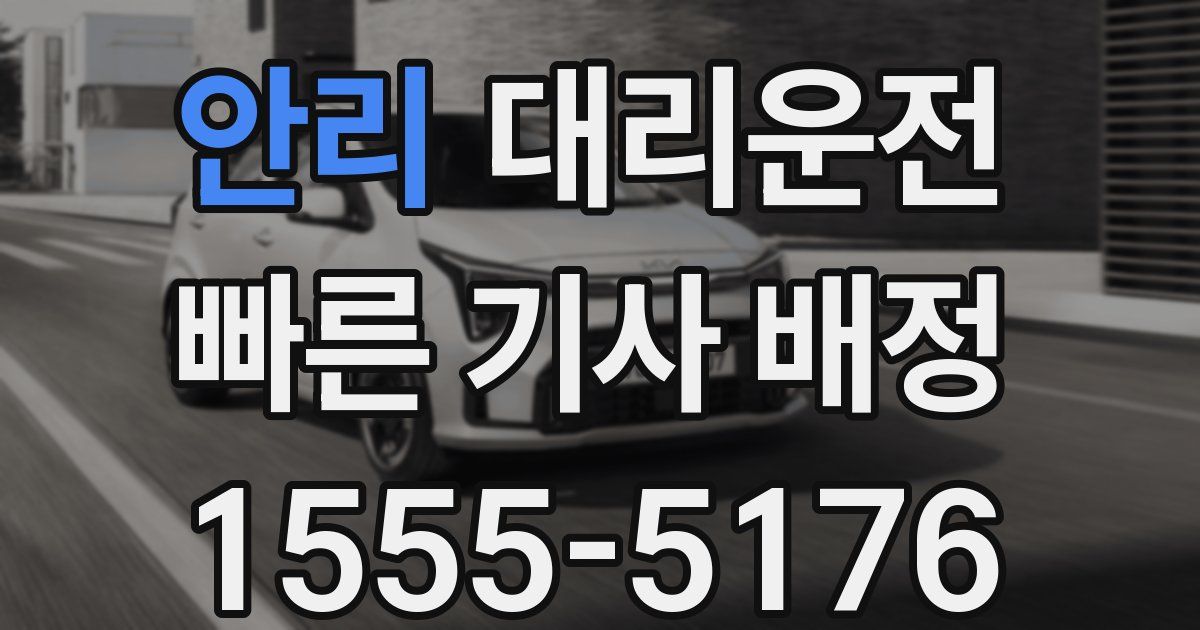 일일대리기사