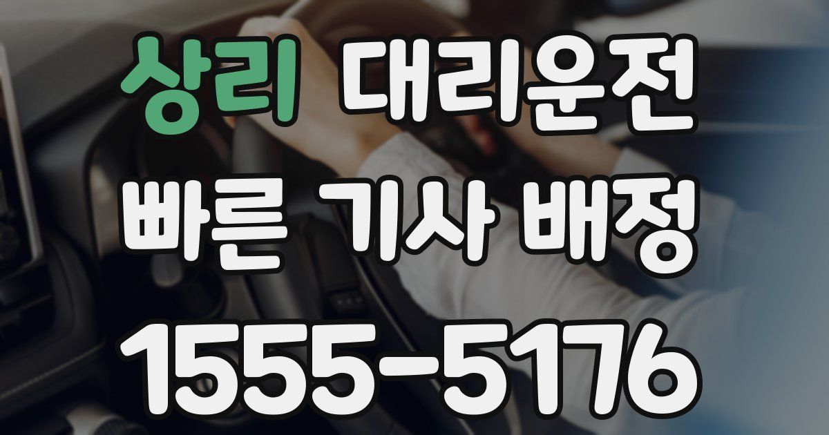일일대리기사