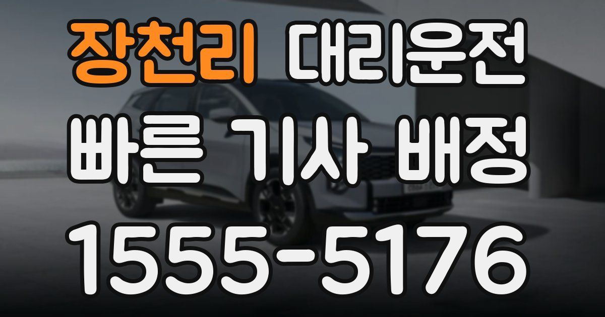 일일대리기사