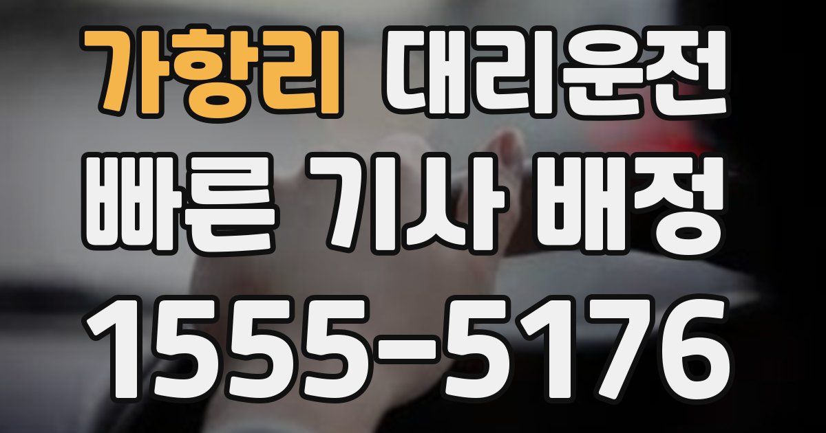 일일대리기사