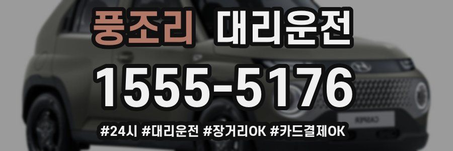 풍조리 대리운전