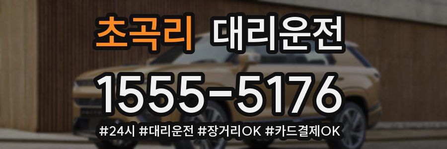 초곡리 대리운전