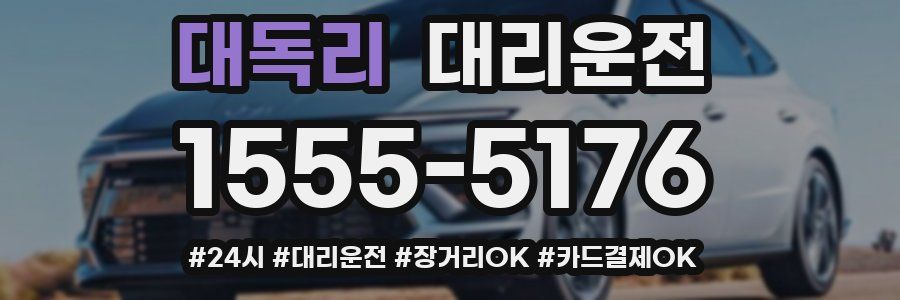 대독리 대리운전